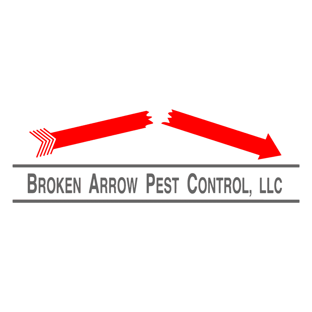 Pest Control Is Important For Many Reasons